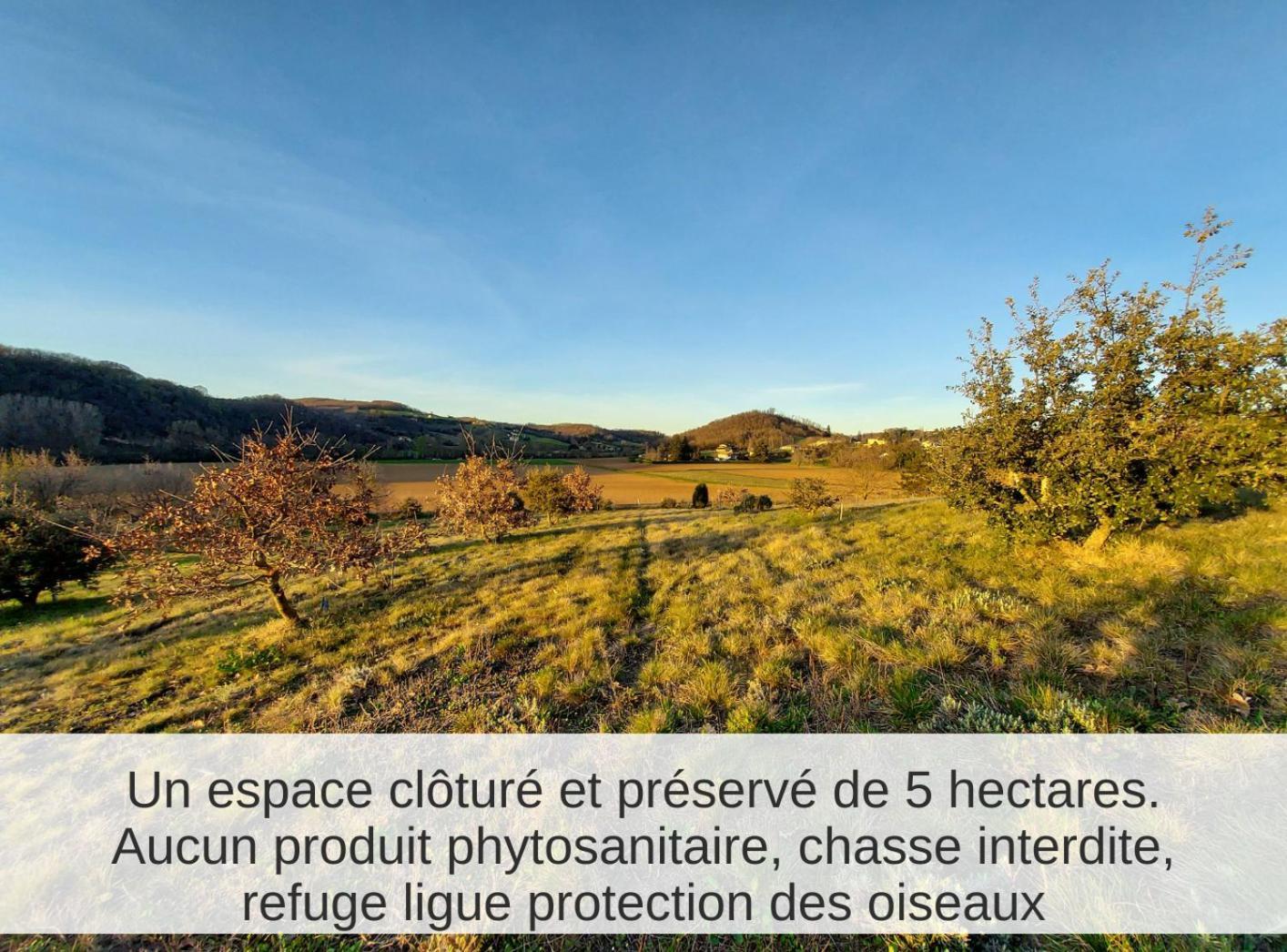 La Truffiere Des Collines - Cote Tilleul Génissieux Exterior foto